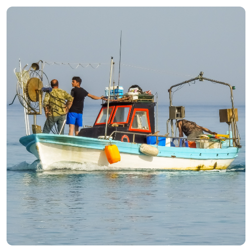 Direito da Pesca