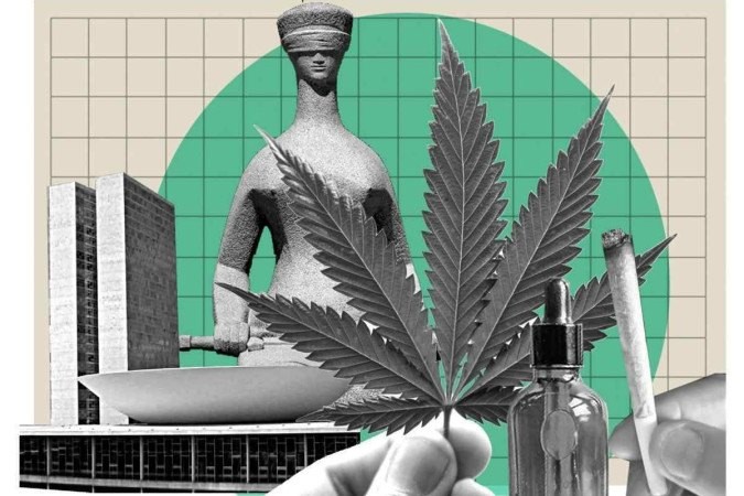 STF estabelece 40g de maconha como limite entre uso e tráfico