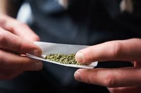 Tribunal de SP adota decisão do STF sobre porte de maconha para uso próprio