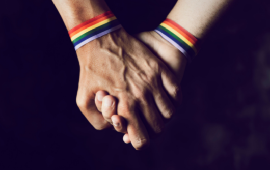 TJMG Reconhece União Estável Homoafetiva Pós-Morte